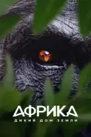 Африка: Дикий дом Земли смотреть онлайн сериал 1 сезон бесплатно в HD